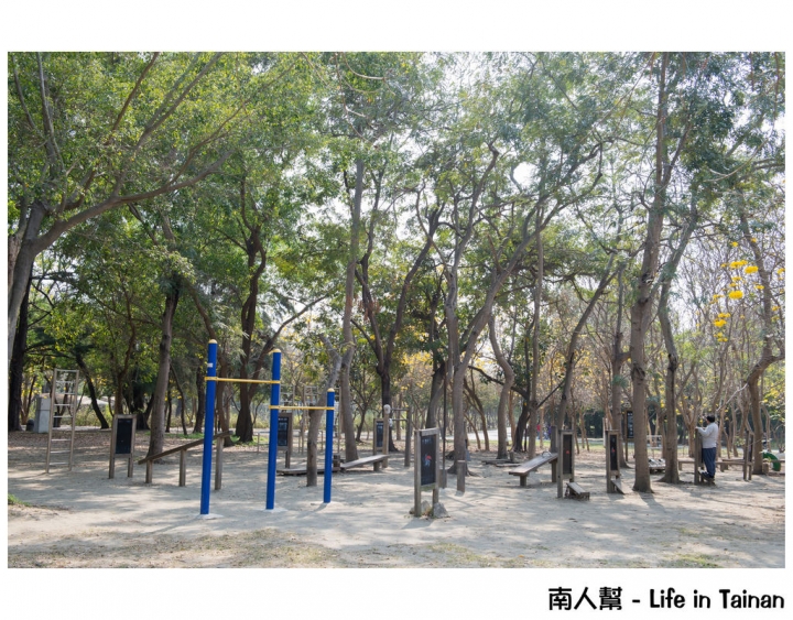 【台南市安平區-公園】億載公園裡花開了# 黃風鈴木.扶桑花.苦楝樹 #