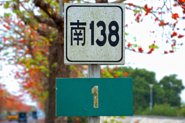 [新市區] 2015 崙頂木棉花（港墘里、南138鄉道）