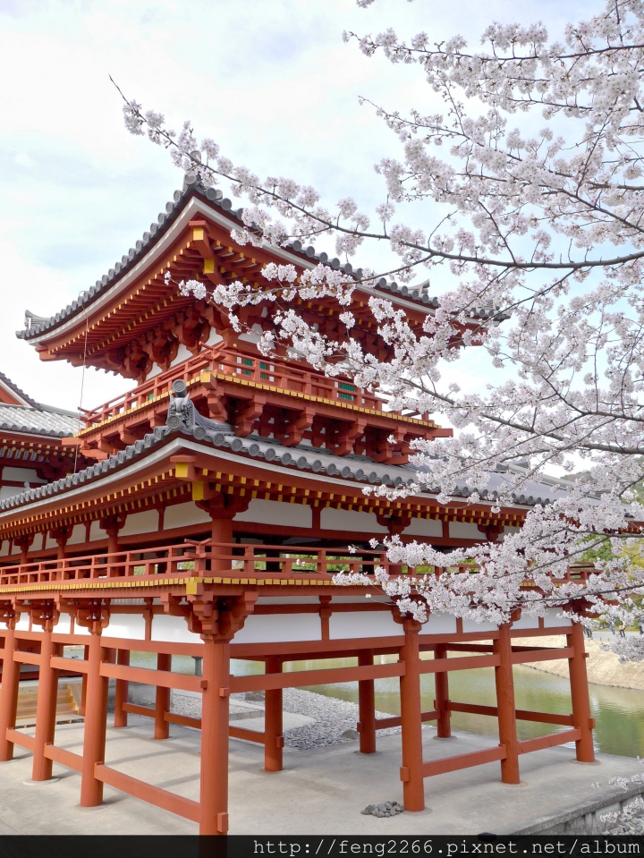 (宇治) 十元硬幣上的風景-鳳凰堂(平等院)