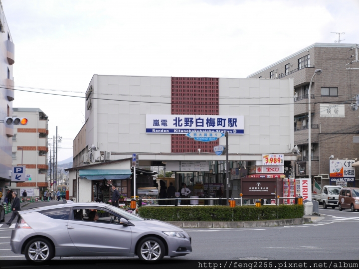 (京都) 平野神社賞櫻400株