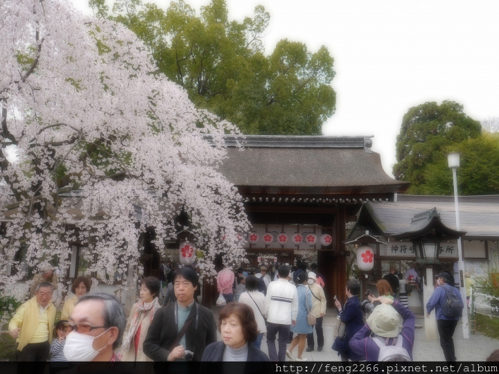 (京都) 平野神社賞櫻400株