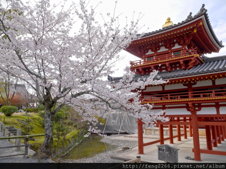 (宇治) 十元硬幣上的風景-鳳凰堂(平等院)