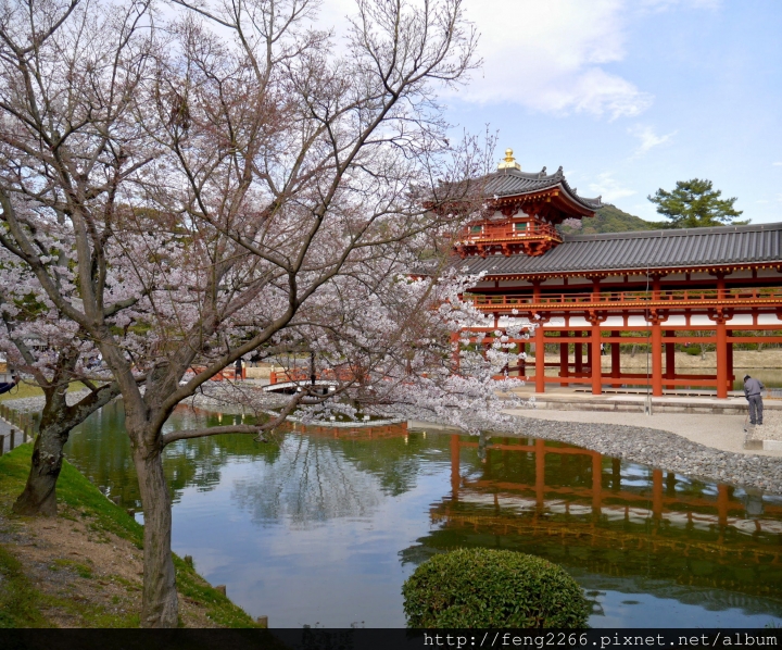 (宇治) 十元硬幣上的風景-鳳凰堂(平等院)
