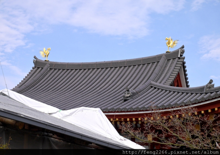 (宇治) 十元硬幣上的風景-鳳凰堂(平等院)