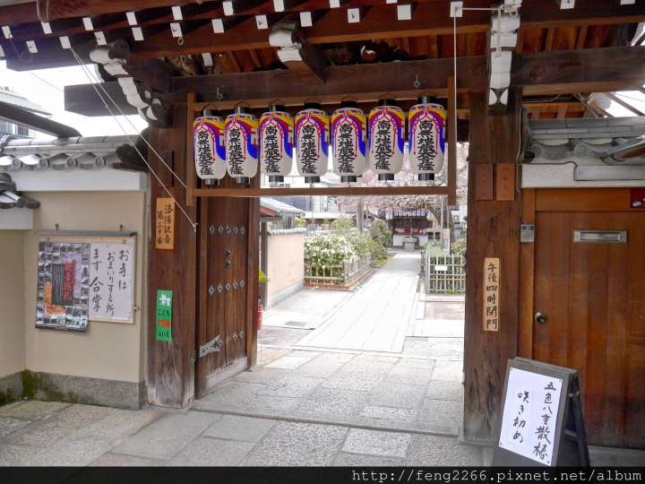 (京都) 平野神社賞櫻400株