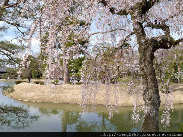 (宇治) 十元硬幣上的風景-鳳凰堂(平等院)