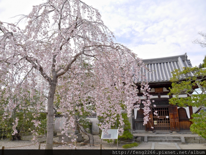 (宇治) 十元硬幣上的風景-鳳凰堂(平等院)