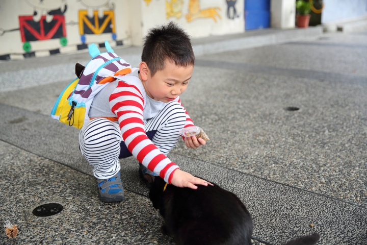 [新北]猴硐(侯硐)車站貓村  by蛋拔