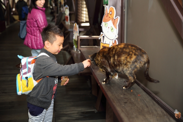 [新北]猴硐(侯硐)車站貓村  by蛋拔