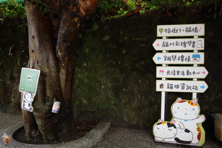 [新北]猴硐(侯硐)車站貓村  by蛋拔