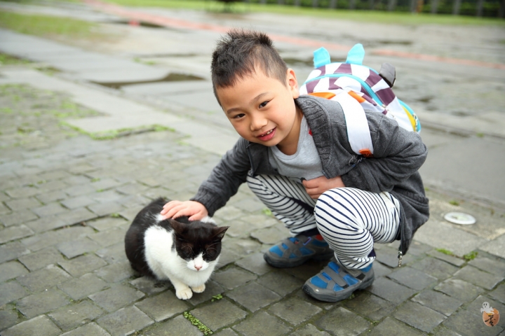[新北]猴硐(侯硐)車站貓村  by蛋拔