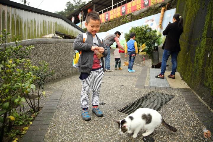 [新北]猴硐(侯硐)車站貓村  by蛋拔
