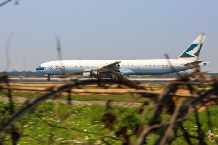 [桃園]桃園機場拍飛機的好地方 by蛋拔