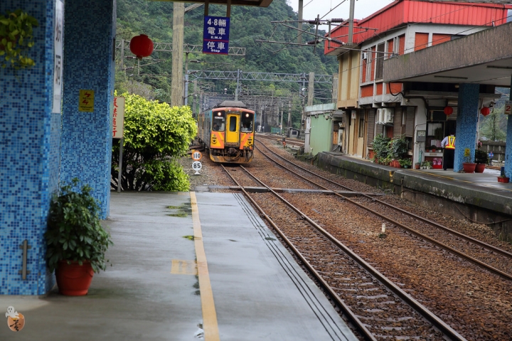 [新北]猴硐(侯硐)車站貓村  by蛋拔
