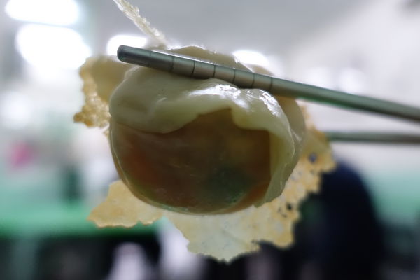 雪花般的卡滋卡滋鍋貼 小六鍋貼 2015/3/20