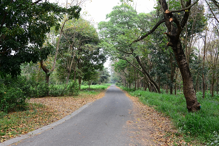 新埤鄉建功森林親水公園
