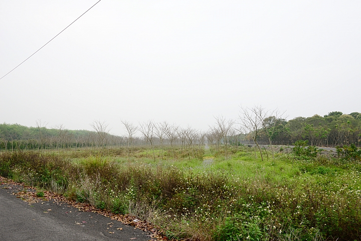 新埤鄉建功森林親水公園