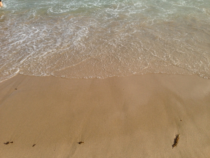 FORD FOCUS 24hr免費試駕南台灣一日遊