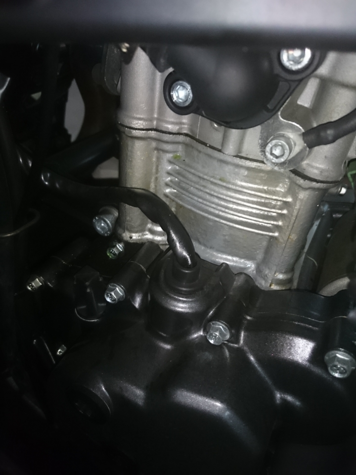 aprilia rs4 125的供油電腦