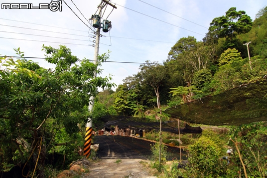第二露--雲櫻園露營區(嘉義阿里山石棹)