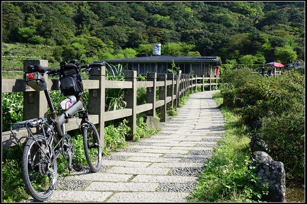 2015.03.29【單車遊記】浪漫花田海芋之旅