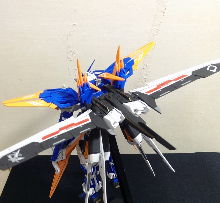 【一種虛心請教的勇氣】~ MBF-P03D ASTRAY GUNDAM D