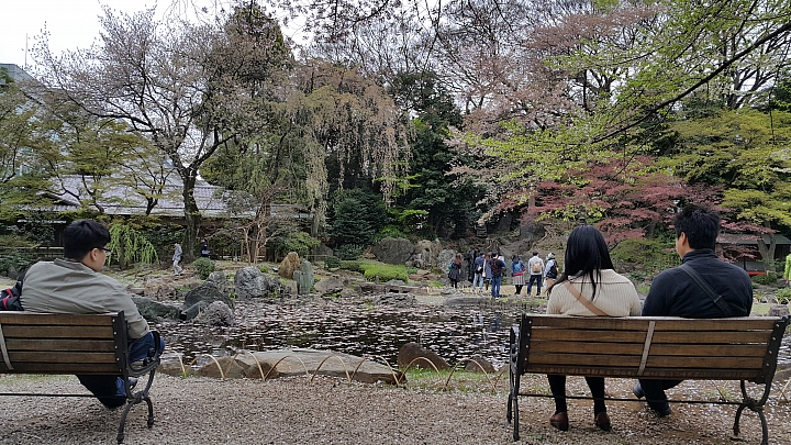 NOTE 4 旅遊東京 賞櫻 照片分享 (圖多)