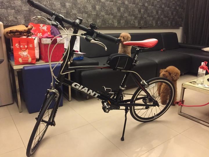 高雄還有騎小徑車的大大嗎?小弟新手