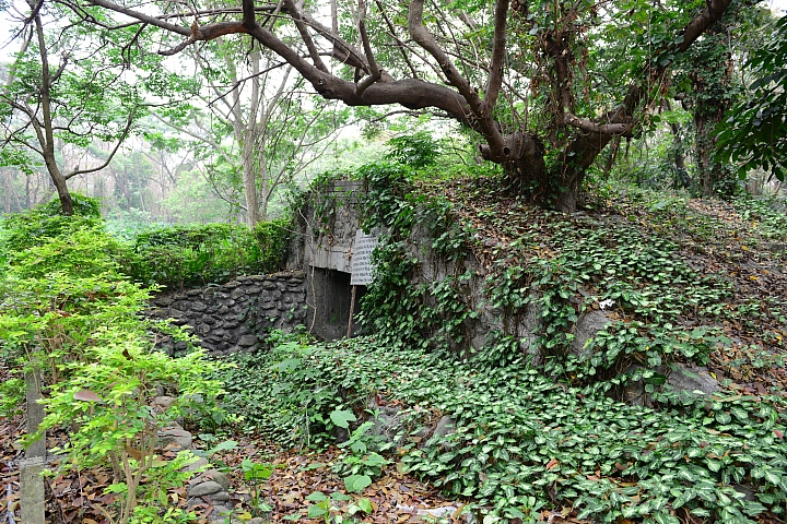 新埤鄉建功森林親水公園
