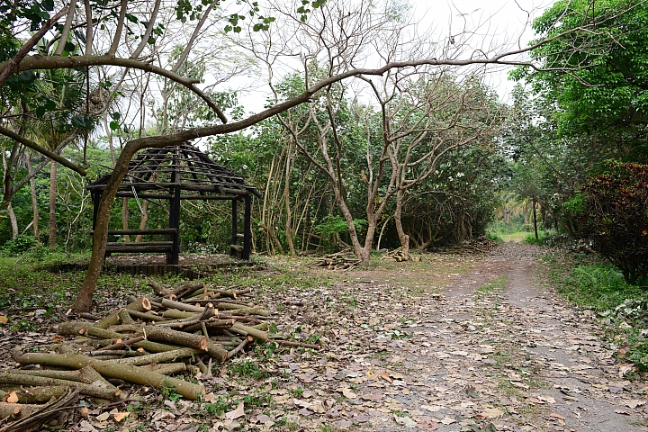 新埤鄉建功森林親水公園