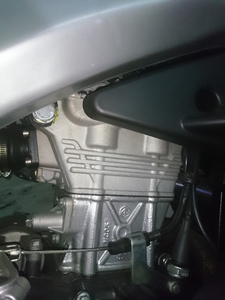 aprilia rs4 125的供油電腦