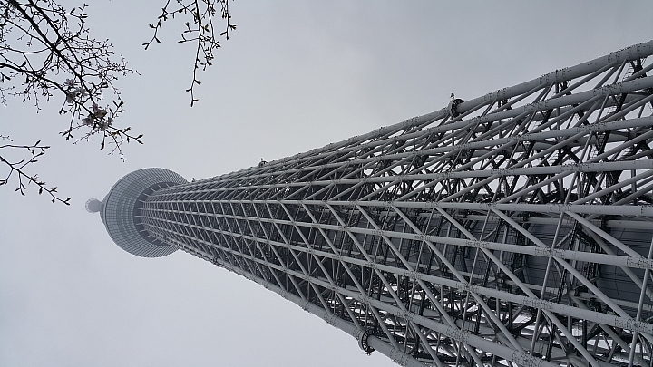 NOTE 4 旅遊東京 賞櫻 照片分享 (圖多)
