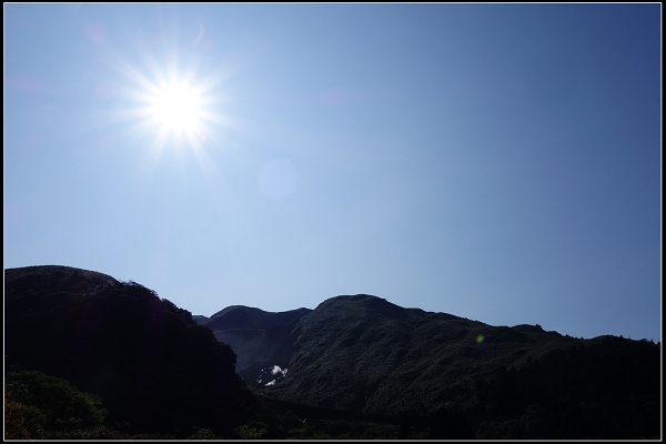 2015.03.29【單車遊記】浪漫花田海芋之旅
