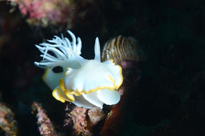 好久好久沒進來這網站了～～～Po幾張照片吧