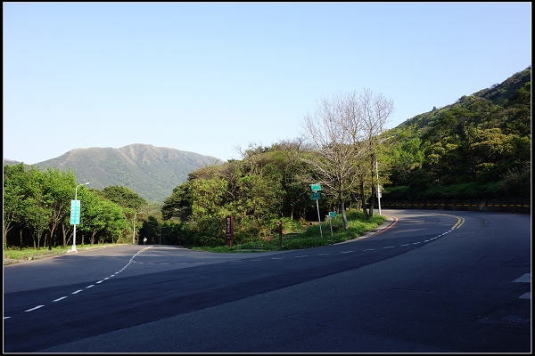2015.03.29【單車遊記】浪漫花田海芋之旅