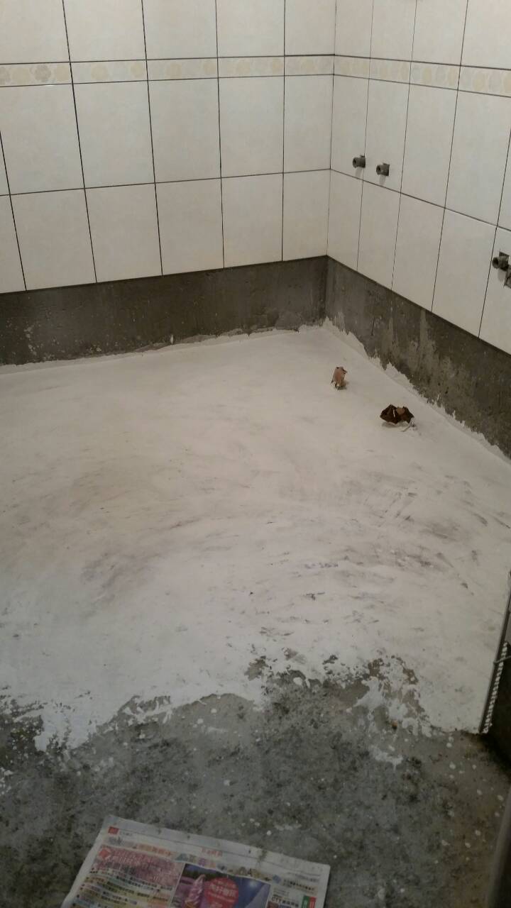 請問浴室防水只用彈泥夠嗎?