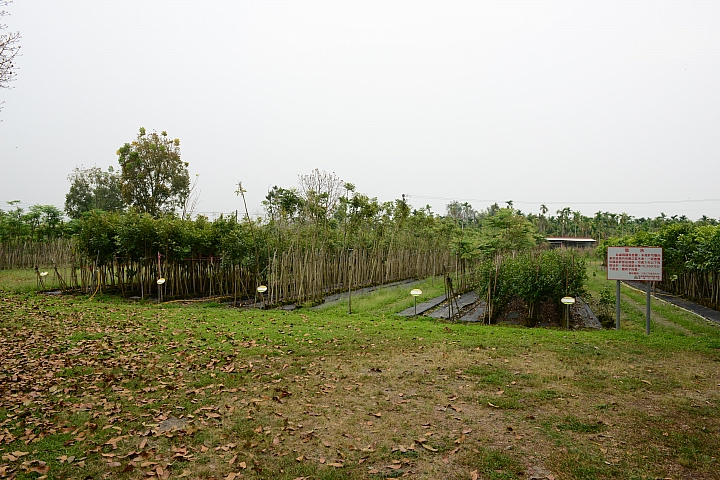 新埤鄉建功森林親水公園