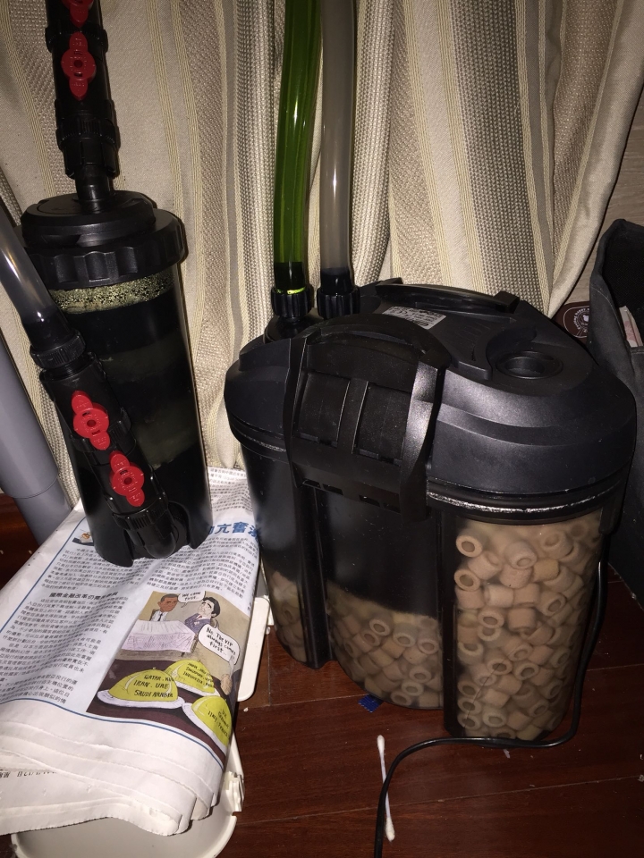 魚缸水起泡但水清怎麼做?