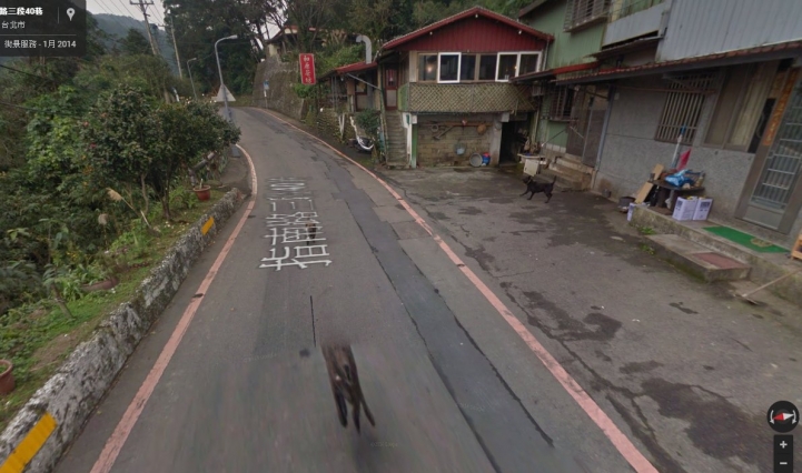 貓空飼主  為什麼管不住你家的狗?!