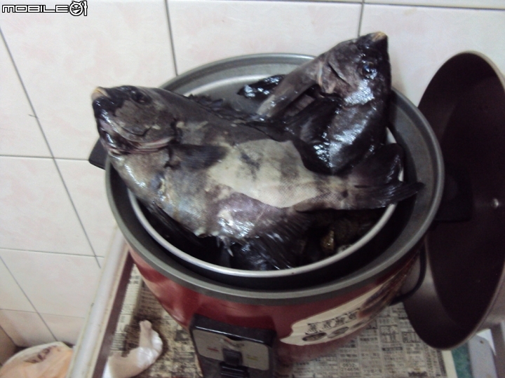 夢幻之魚：石鯛