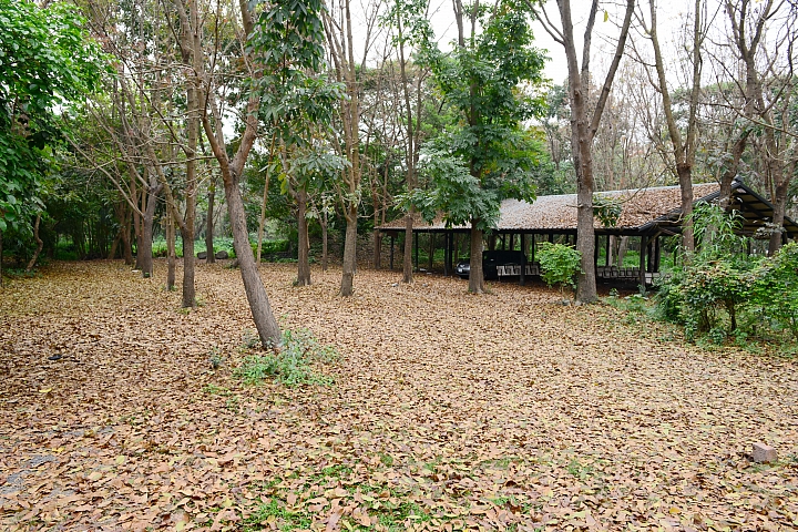 新埤鄉建功森林親水公園