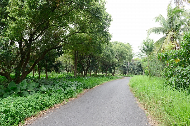 新埤鄉建功森林親水公園