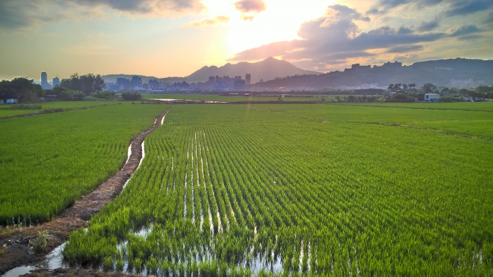Lumia 830蓋大樓-照片分享