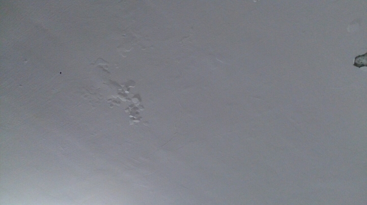 天花板變這樣~有人能教我如何自行補漆嗎