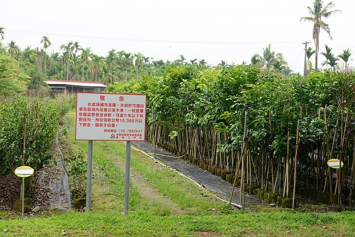 新埤鄉建功森林親水公園