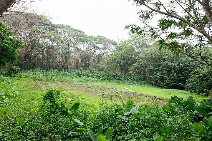 新埤鄉建功森林親水公園