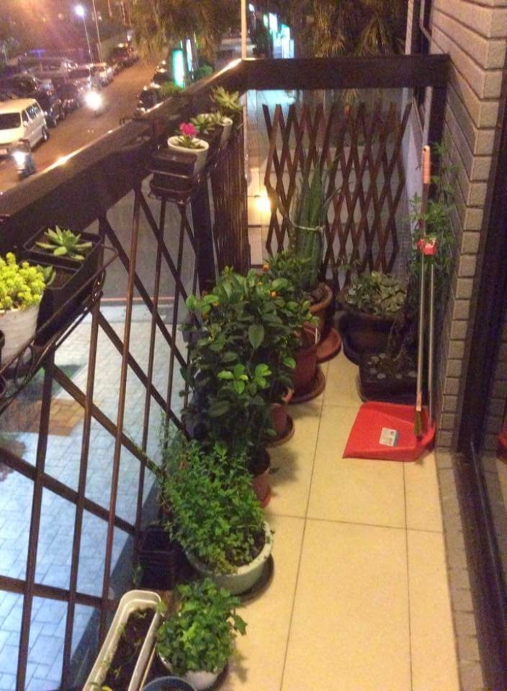 [求建議] 陽台綠化佈置