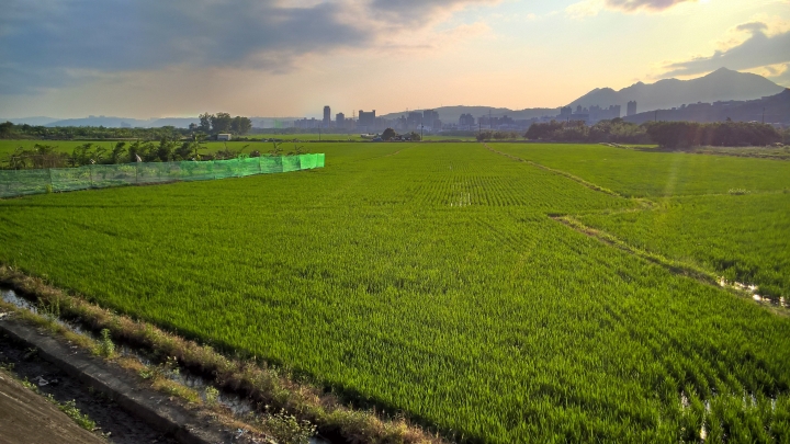 Lumia 830蓋大樓-照片分享