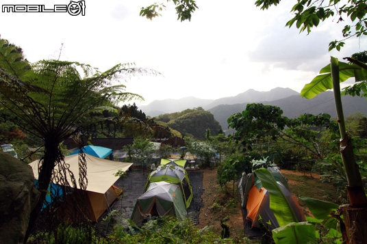 第二露--雲櫻園露營區(嘉義阿里山石棹)