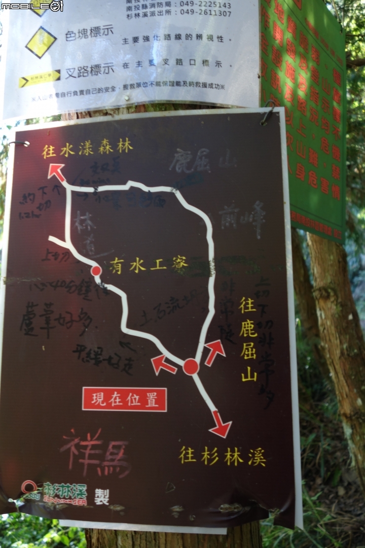 尋訪水漾森林